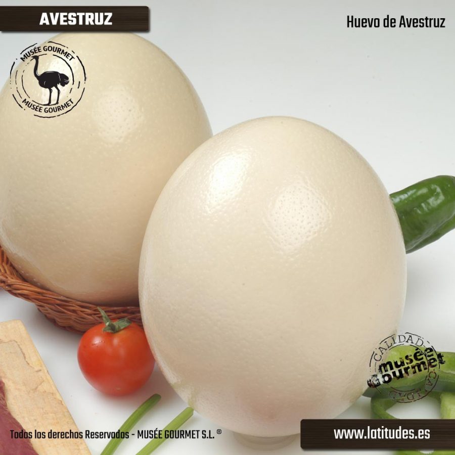 Huevo de Avestruz Refrigerado Latitudes.es Un mundo de carnes por