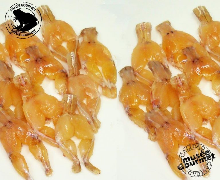 Descubre el sabor de las ancas de rana y su forma de preparación